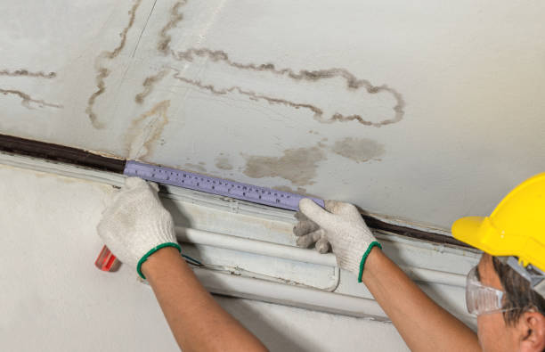 Reliable Basement Water Removal contractor in Nunn, CO by Water Damage Irwin